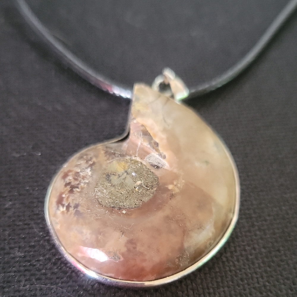 Elegant Silver Ammonite Pendant Necklace - Picture 3 of 3